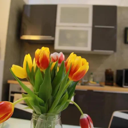 Апартаменты Brera Design Loft