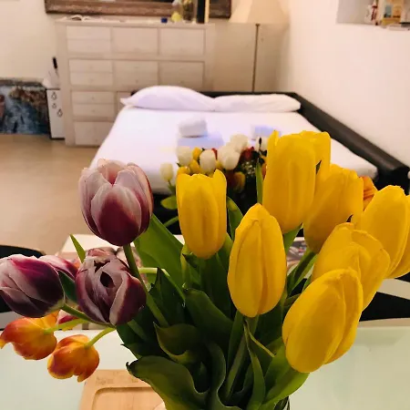 公寓 Brera Design Loft 米兰